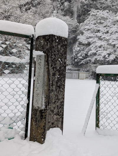 PXL_20250205_223804072