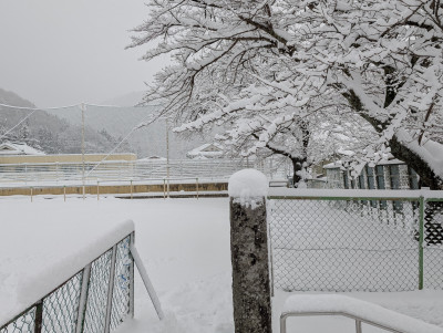 PXL_20250205_223828855