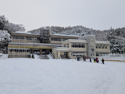 PXL_20250206_223737234