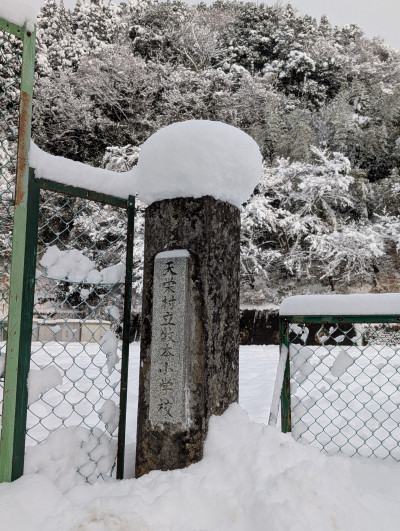 PXL_20250206_224359912