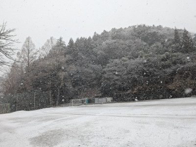 PXL_20250302_225646704.MP