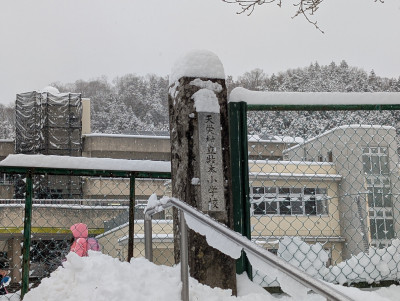 PXL_20250304_224104698