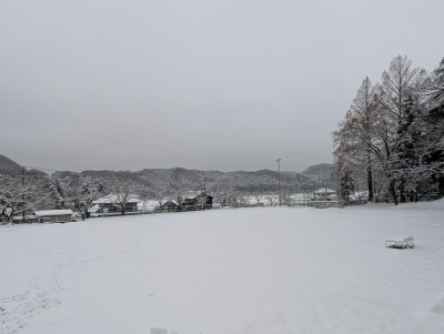 PXL_20250304_230231001