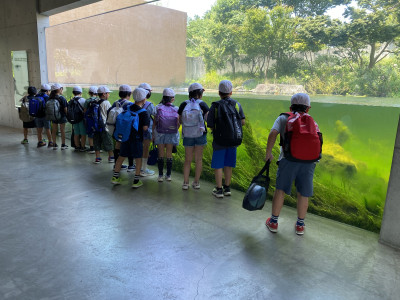 Image_20250704_103400_691