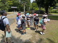 Image_20250704_104446_441