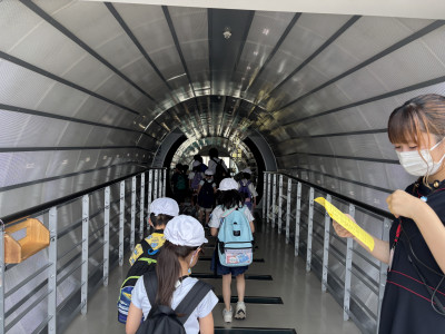 Image_20250704_111632_499