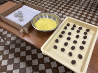 Image_20250704_113905_650