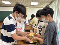 Image_20250704_113905_818