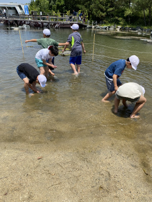 Image_20250704_114735_073