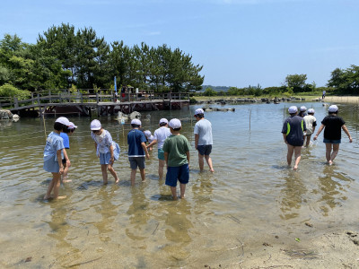 Image_20250704_114735_272