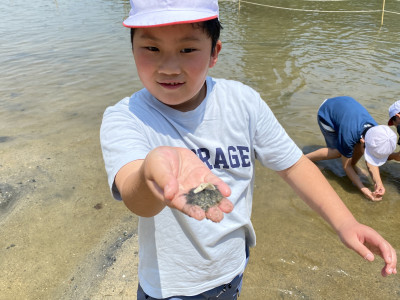 Image_20250704_114735_472