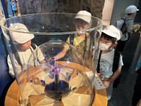 Image_20250704_114849_234