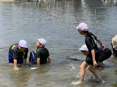 Image_20250704_121028_246