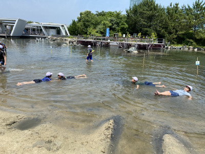 Image_20250704_121028_464