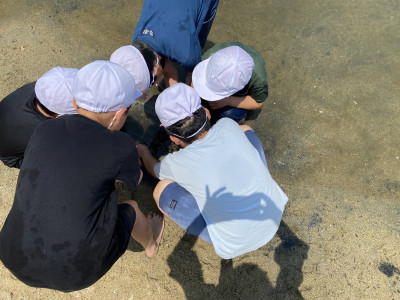 Image_20250704_121028_674