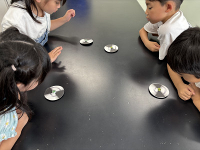 Image_20250704_130618_305