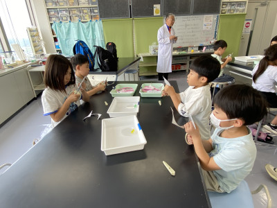 Image_20250704_133835_541