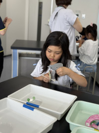 Image_20250704_145211_135