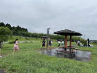 Image_20250910_104934_417