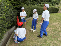 Image_20250910_161424_917