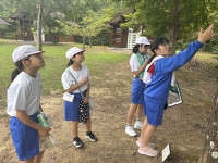 Image_20250910_161425_211