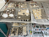 Image_20250911_103734_851