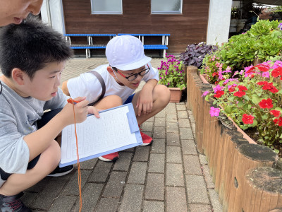 Image_20250911_112248_695